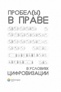 Пашенцев Дмитрий Алексеевич - Пробелы в праве в условиях цифровизации