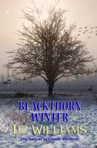 Лиз Уильямс - Blackthorn Winter
