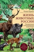 Михаил Куценко - Жизнь животных России. Познавательная иллюстрированная энциклопедия