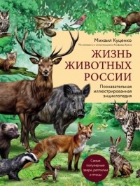 Михаил Куценко - Жизнь животных России. Познавательная иллюстрированная энциклопедия