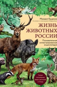 Михаил Куценко - Жизнь животных России. Познавательная иллюстрированная энциклопедия