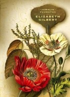Elizabeth Gilbert - Jumalik puudutus
