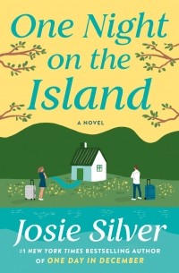Джози Силвер - One Night on the Island: A Novel