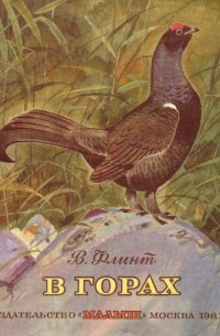 Владимир Флинт - В горах