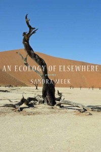 Сандра Мик - An Ecology of Elsewhere