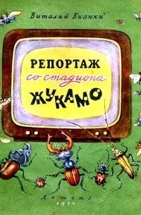 Репортаж со стадиона «Жукамо»