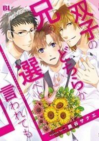 Санаэ Рокуя - 双子の兄のどちらか選べと言われても / futago no ani no dochirakaerabe to iwaretemo