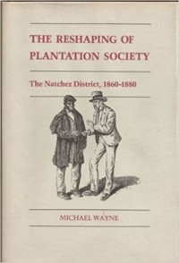 Майкл Уэйн - The Reshaping Of Plantation Society: The Natchez District, 1860 1880