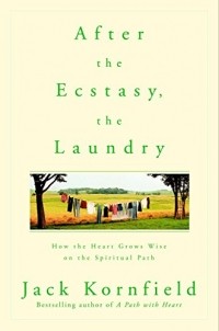 Джек Корнфилд - After the Ecstasy, the Laundry: How the Heart Grows Wise on the Spiritual Path