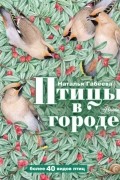 Наталья Габеева - Птицы в городе