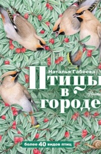Наталья Габеева - Птицы в городе