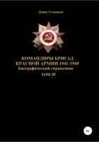 Денис Юрьевич Соловьев - Командиры бригад Красной Армии 1941-1945. Том 35