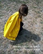 Hera Lindsay Bird - Hera Lindsay Bird