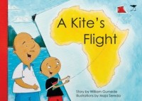 William Gumede - A Kite's Flight