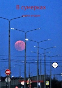 Любовь Соколова - В сумерках. Книга вторая