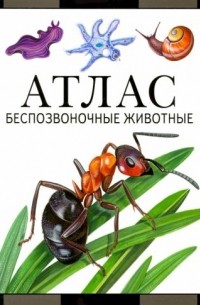 Атлас. Беспозвоночные животные