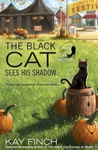 Kay Finch - The Black Cat Sees His Shadow