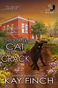 Kay Finch - The Black Cat Steps on a Crack
