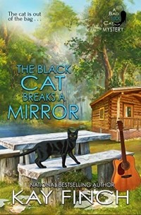 Kay Finch - The Black Cat Breaks a Mirror