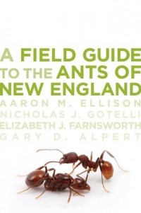  - A Field Guide to the Ants of New England