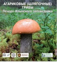  - Агариковые (шляпочные) грибы Печоро-Илычского заповедника