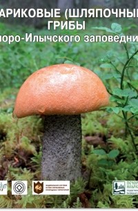  - Агариковые (шляпочные) грибы Печоро-Илычского заповедника