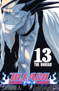 BLEACH―ブリーチ― 13