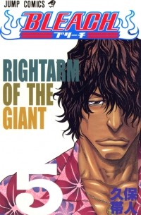 BLEACH―ブリーチ― 5