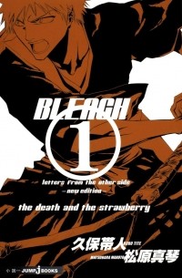  - BLEACH letters from the other side