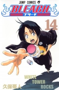 BLEACH―ブリーチ― 14