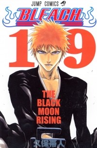BLEACH―ブリーチ― 19