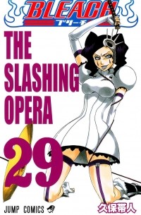 BLEACH―ブリーチ― 29