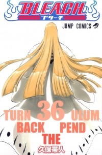 BLEACH―ブリーチ― 36