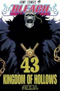 BLEACH―ブリーチ― 43