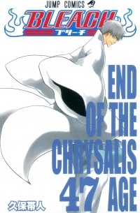 BLEACH―ブリーチ― 47