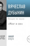 Вячеслав Дубынин - Лекция «Мозг и сон»