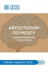Елена Белова - Автостопом по мозгу. Когда вся вселенная у тебя в голове