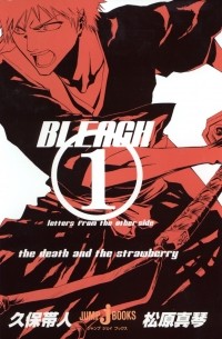  - BLEACH letters from the other side