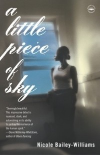 Nicole Bailey-Williams - A Little Piece Of Sky