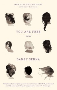 Danzy Senna - You Are Free