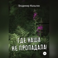 Владимир Малыгин - Где наша не пропадала