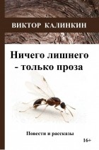 Виктор Калинкин - Ничего лишнего – только проза