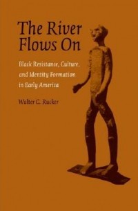 Walter C. Rucker - The River Flows On: Black Resistance, Culture, and Identity Formation in Early America