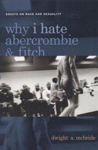 Дуайт А. Макбрайд - Why I Hate Abercrombie & Fitch: Essays on Race and Sexuality