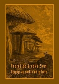 Jules Verne - Podróż do środka Ziemi / Voyage au centre de la Terre (сборник)