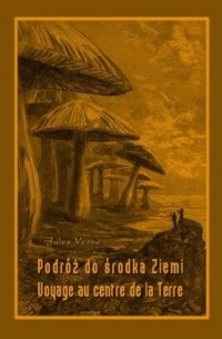 Jules Verne - Podróż do środka Ziemi / Voyage au centre de la Terre (сборник)