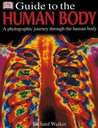 Ричард Уолкер - DK Guide to The Human Body