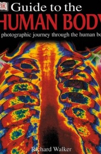 Ричард Уолкер - DK Guide to The Human Body
