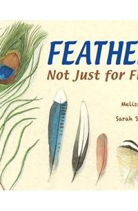 Мелисса Стюарт - Feathers: Not Just for Flying