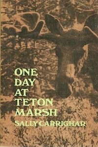 Салли Карригар - One Day at Teton Marsh